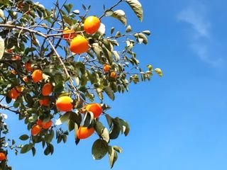 MSG0074님의 자유주제 · 자유게시판 작성글 사진