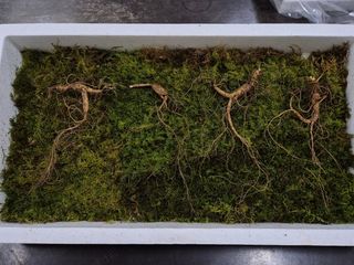 스마일님의 작성글 사진