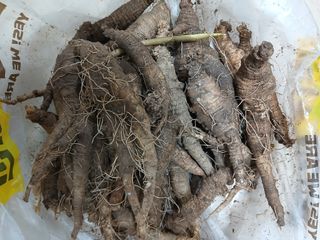 둥이 맘님의 작성글 사진