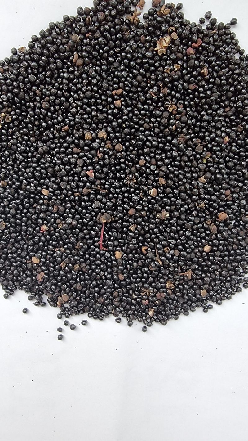 장터 상품 [산초 기름 400미리리터] 썸네일