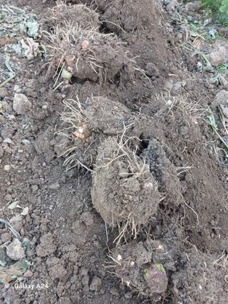 강성흔목사 님의 자유주제 · 자유게시판 작성글 사진