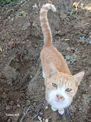 강성흔목사 님의 자유주제 · 자유게시판 작성글 사진
