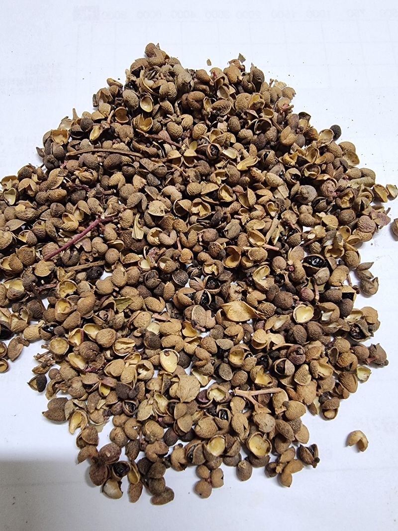 양지리님의 장터 판매 상품 [산초 기름 400미리리터] 첨부 사진