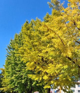 MSG0074님의 자유주제 · 자유게시판 작성글 사진