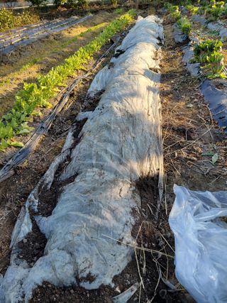 오화순님의 자유주제 · 자유게시판 작성글 사진