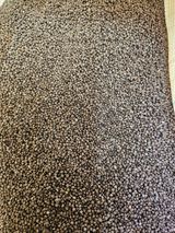 팜모닝 자유주제·사진전 게시글 이미지