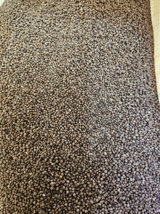 조우상님의 자유주제 · 사진전 작성글 사진