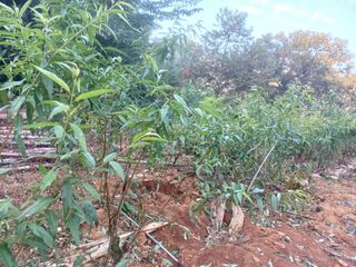 최낙원님의 자유주제 · 자유게시판 작성글 사진