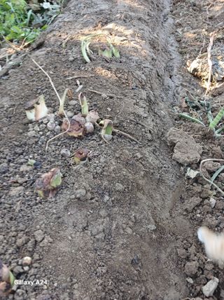 강성흔목사 님의 자유주제 · 자유게시판 작성글 사진