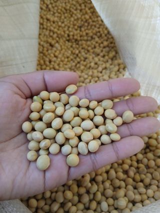 SARIFUDIN YASINTA MARYAMA님의 자유주제 · 자유게시판 작성글 사진