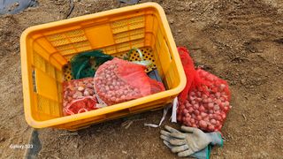 서상진님의 자유주제 · 자유게시판 작성글 사진