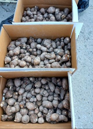 오화순님의 자유주제 · 자유게시판 작성글 사진