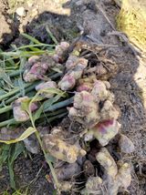 팜모닝 자유주제·자유게시판 게시글 이미지