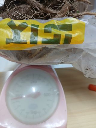 둥이 맘님의 작성글 사진