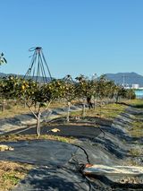 팜모닝 자유주제·자유게시판 게시글 이미지