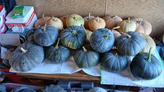 이갑덕님의 자유주제 · 자유게시판 작성글 사진