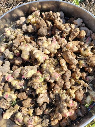 오화순님의 자유주제 · 자유게시판 작성글 사진