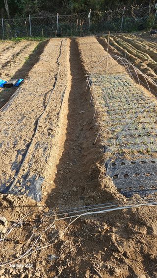 서상진님의 자유주제 · 자유게시판 작성글 사진