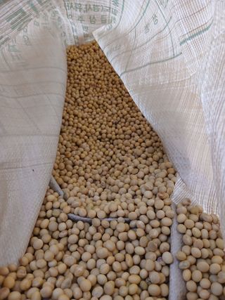 SARIFUDIN YASINTA MARYAMA님의 자유주제 · 자유게시판 작성글 사진