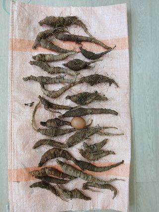 둥이 맘님의 작성글 사진