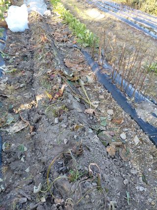 오화순님의 자유주제 · 자유게시판 작성글 사진