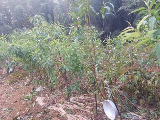 최낙원님의 자유주제 · 자유게시판 작성글 사진