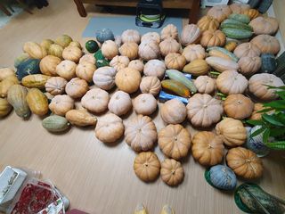 접시꽃님의 자유주제 · 자유게시판 작성글 사진