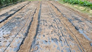 서상진님의 자유주제 · 자유게시판 작성글 사진