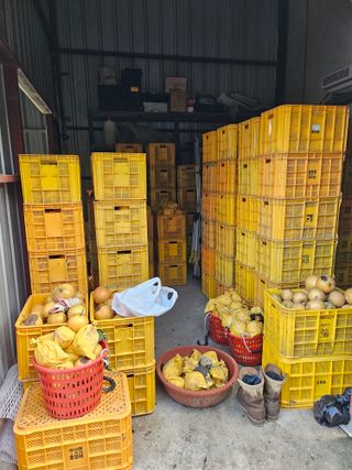 조영민님의 자유주제 · 자유게시판 작성글 사진