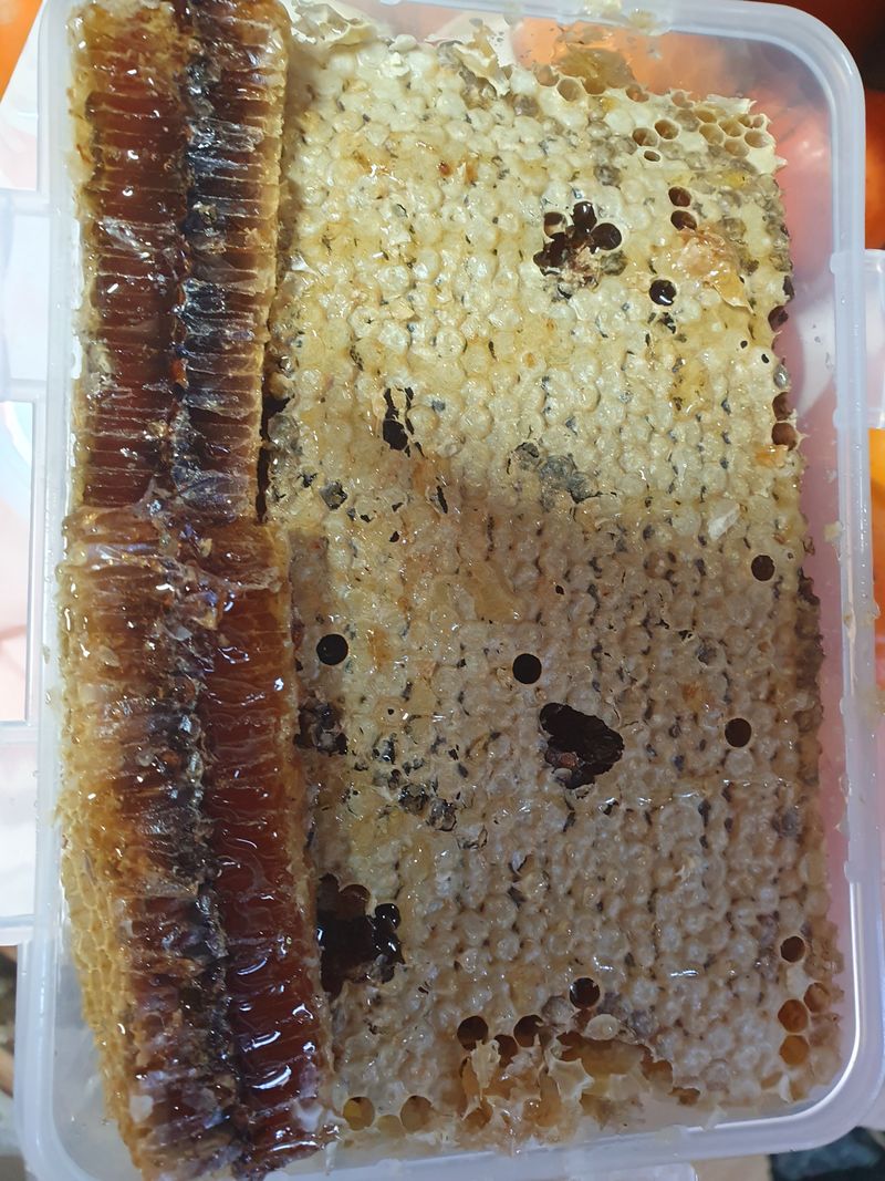 예천토종꿀벌 님의 장터 판매 상품 [토종꿀 ] 첨부 사진