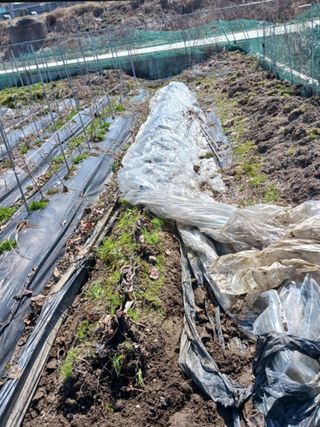 오화순님의 자유주제 · 자유게시판 작성글 사진
