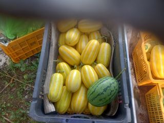 서기종님의 작성글 사진