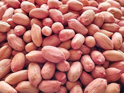 장터 상품 [무농약 토종 생땅콩 1kg] 썸네일