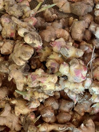 오화순님의 자유주제 · 자유게시판 작성글 사진