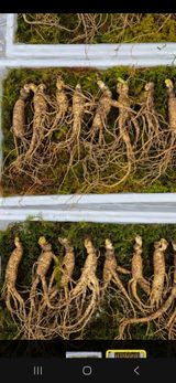 팜모닝 · 게시글 이미지