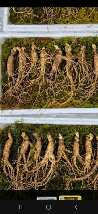 스마일님의 작성글 사진