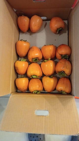 산골촌부님의 자유주제 · 자유게시판 작성글 사진