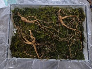 스마일님의 작성글 사진