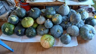 이갑덕님의 자유주제 · 자유게시판 작성글 사진