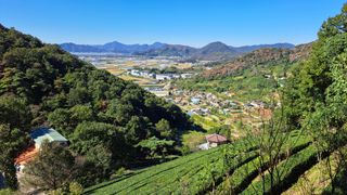 선곡다원님의 자유주제 · 자유게시판 작성글 사진