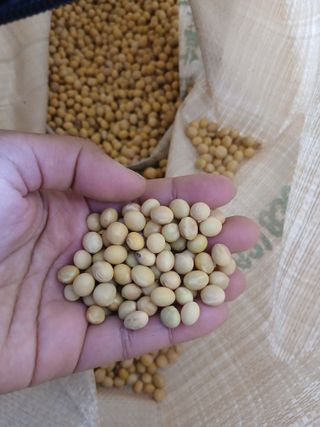 SARIFUDIN YASINTA MARYAMA님의 자유주제 · 자유게시판 작성글 사진