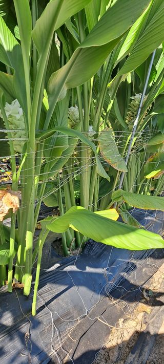 장준재님의 자유주제 · 자유게시판 작성글 사진