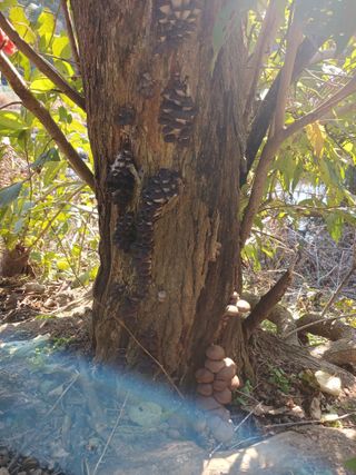 돌핀농부님의 자유주제 · 자유게시판 작성글 사진