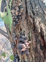 팜모닝 자유주제·자유게시판 게시글 이미지