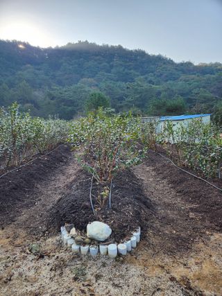 임용관님의 자유주제 · 자유게시판 작성글 사진