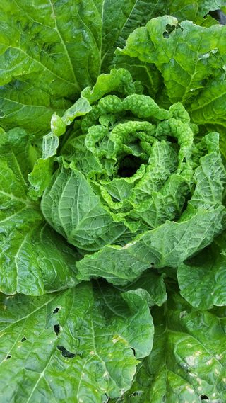 명장박세태님의 자유주제 · 자유게시판 작성글 사진