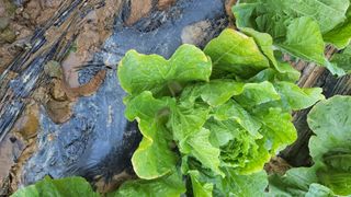 명장박세태님의 자유주제 · 자유게시판 작성글 사진