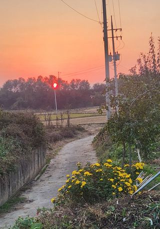 하은와송~♡♡♡~님의 자유주제 · 자유게시판 작성글 사진