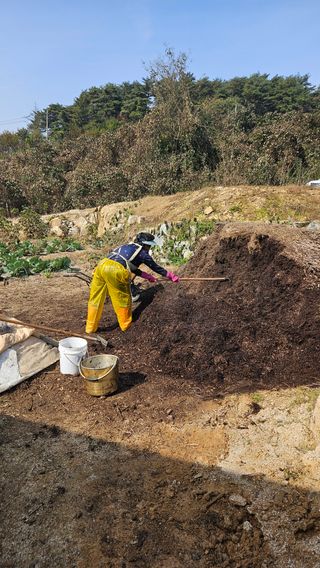 임용관님의 자유주제 · 자유게시판 작성글 사진