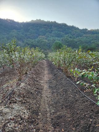 임용관님의 자유주제 · 자유게시판 작성글 사진